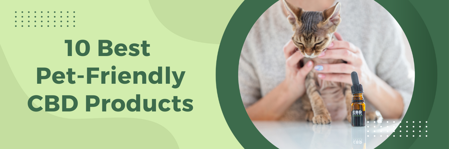 10 Best Pet-Friendly CBD Products 2023