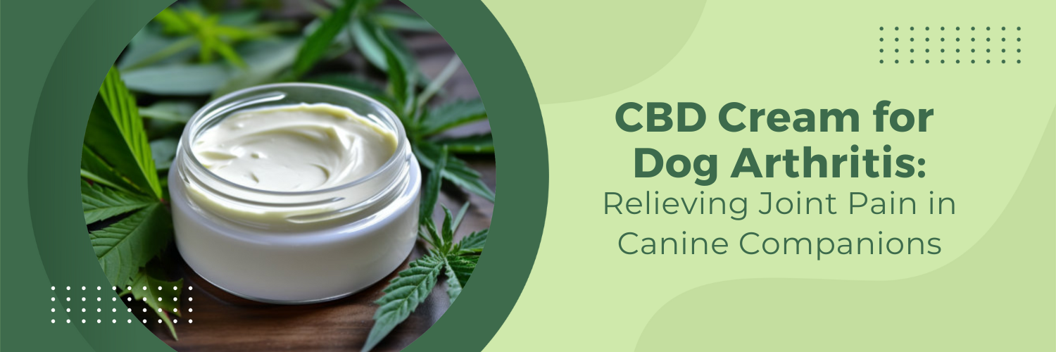 CBD Cream for Dog Arthritis: Relieving Joint Pain in Canine Companions