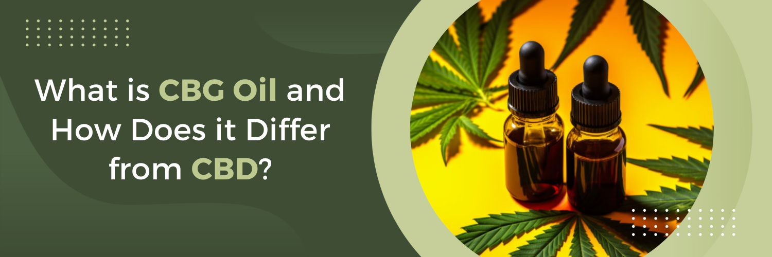 What is CBG Oil and How Does it Differ from CBD?