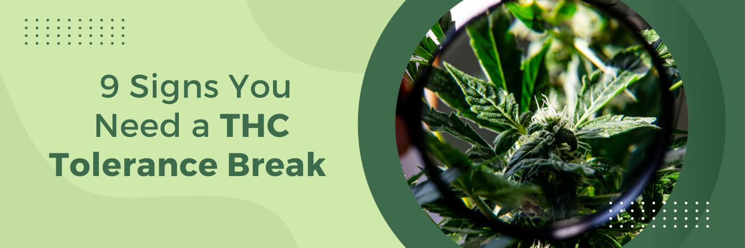 9 Signs You Need a THC Tolerance Break
