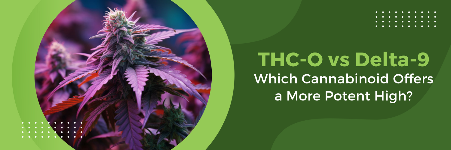 THC-O vs Delta-9: Which Cannabinoid Offers a More Potent High?