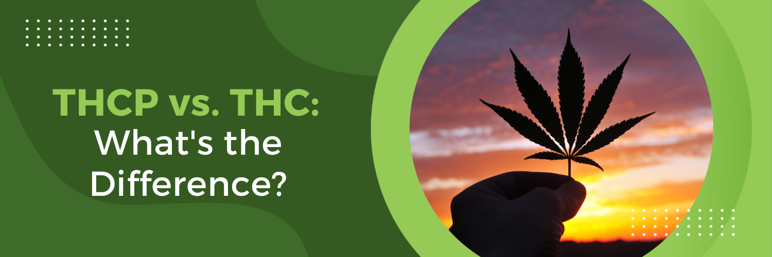 THCP Vs. THC: What's The Difference?