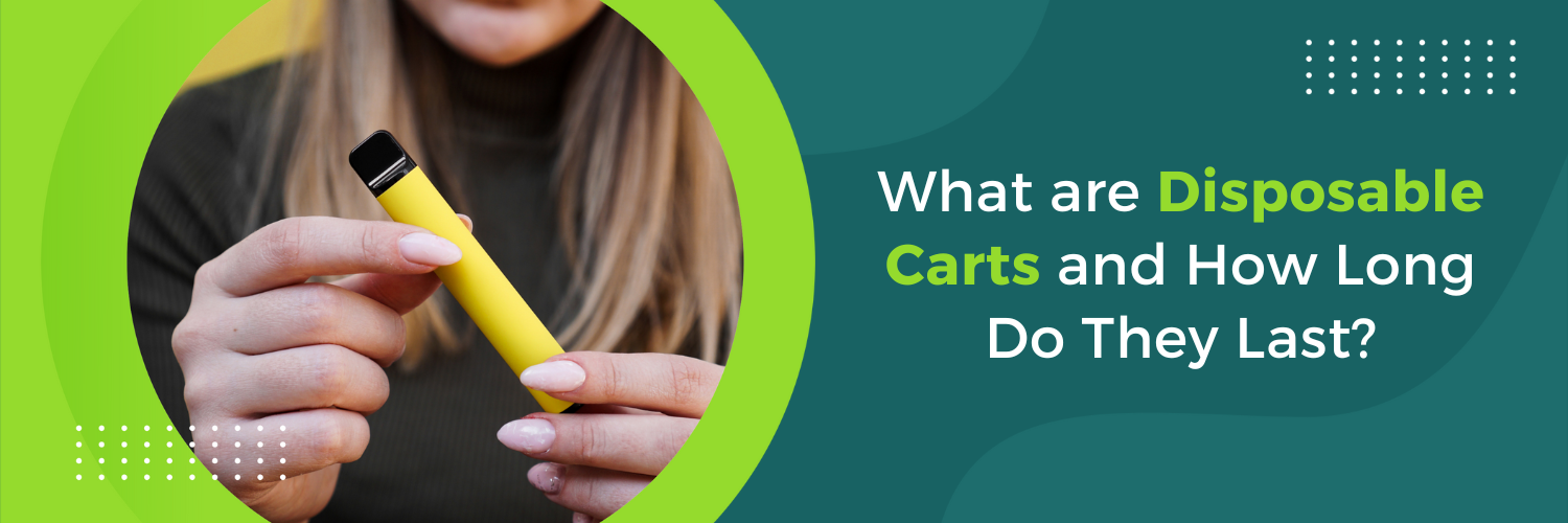 What are Disposable Carts and How Long Do They Last?