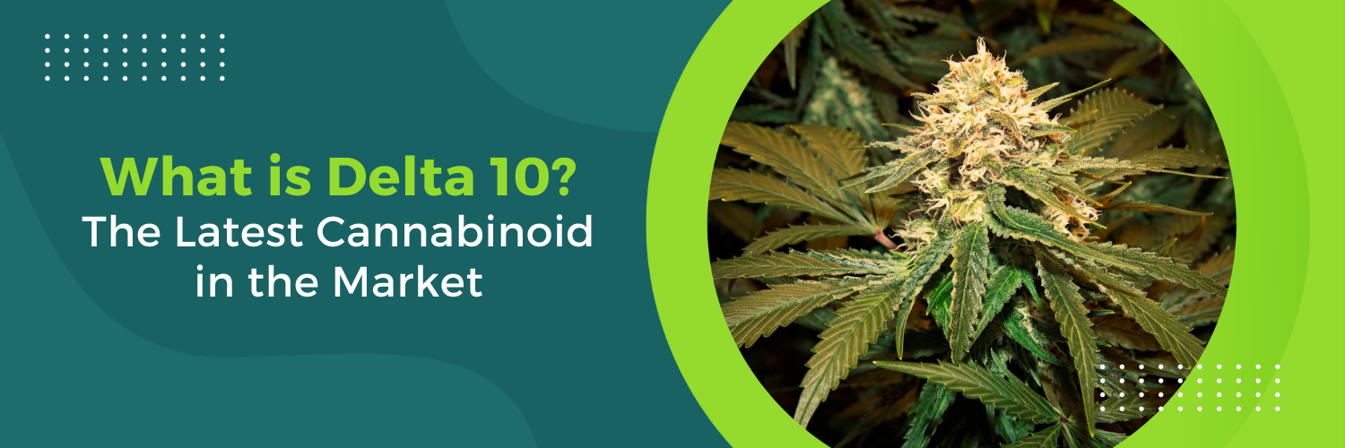 What is Delta 10? The Latest Cannabinoid in the Market