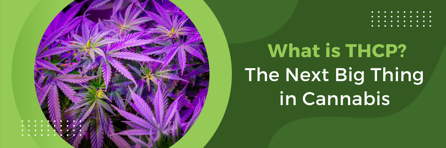 What is THCP? The Next Big Thing in Cannabis