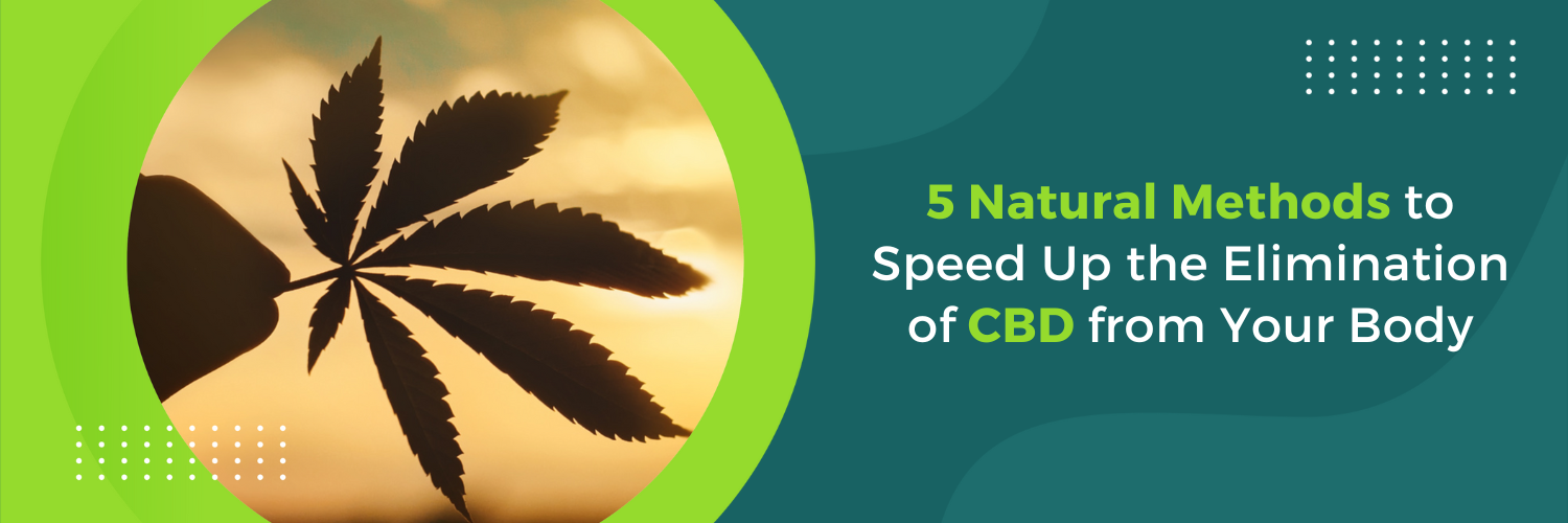 5 Natural Methods to Speed Up the Elimination of CBD from Your Body