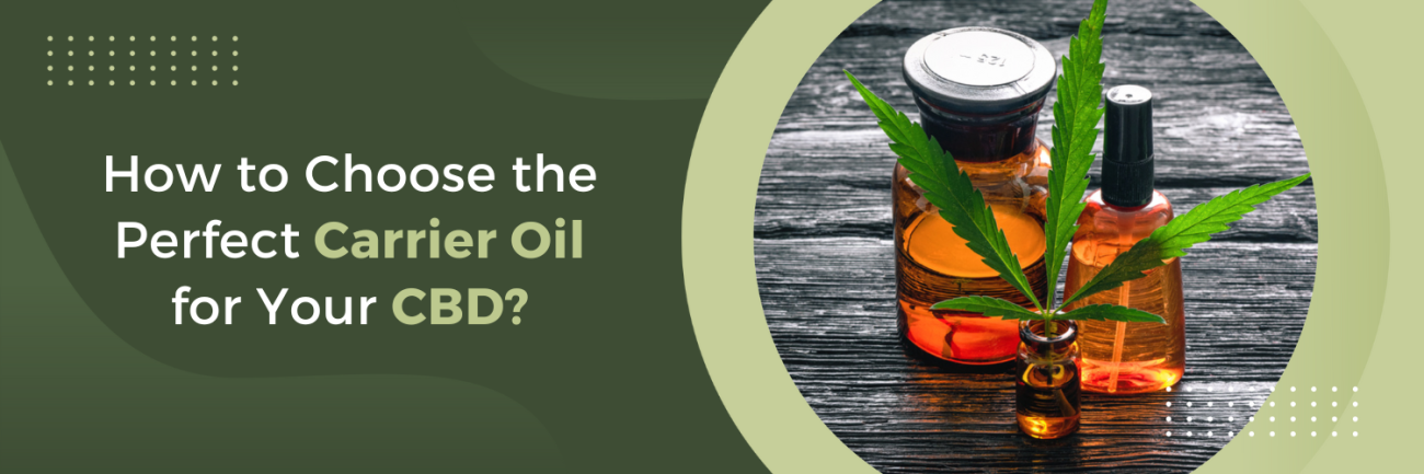 How to Choose the Perfect Carrier Oil for Your CBD?