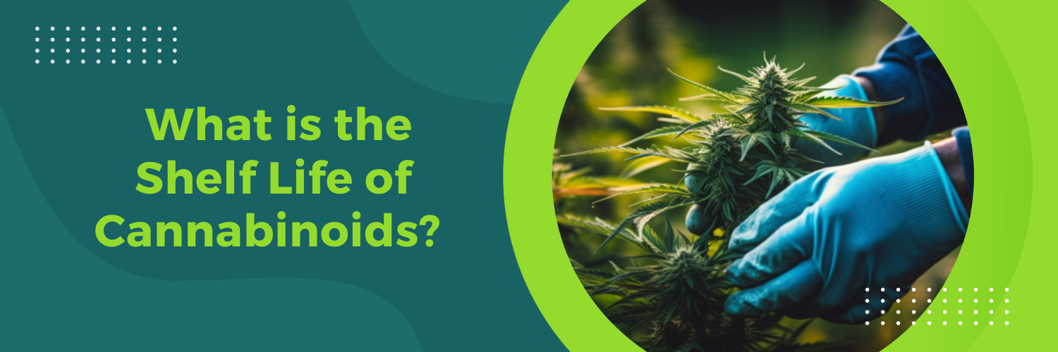 What is the Shelf Life of Cannabinoids? [And When do they go Bad?]
