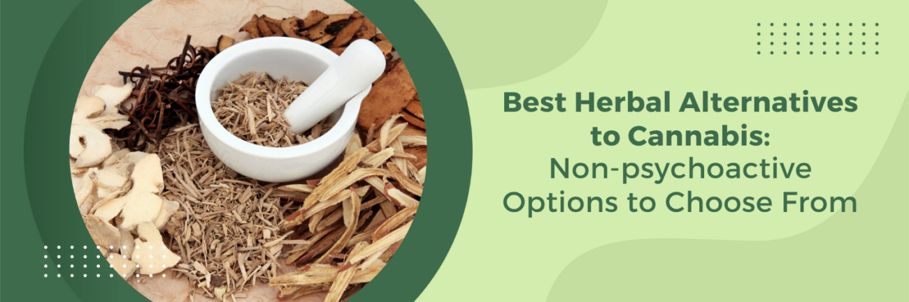 Herbal Alternatives to Cannabis: Non-psychoactive Options to Choose From