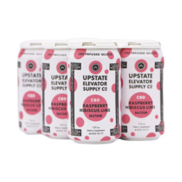 Raspberry-Hibiscus-Lime-Seltzer-six-pack